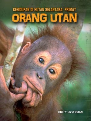 cover image of Kehidupan di Hutan Belantara: Primat - ORANG UTAN